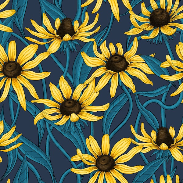 Yellow Rudbekia on navy