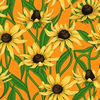 Yellow Rudbekia on orange tapet