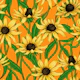Yellow Rudbekia on orange
