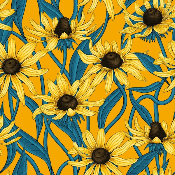 Yellow Rudbekia on yellow