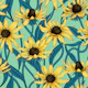 Yellow Rudbekia on jade green