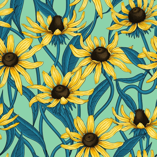 Yellow Rudbekia on jade green