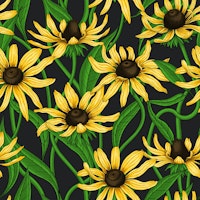 Yellow Rudbekia on black tapet