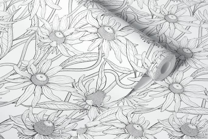 Rudbekia in black and whitewallpaper roll