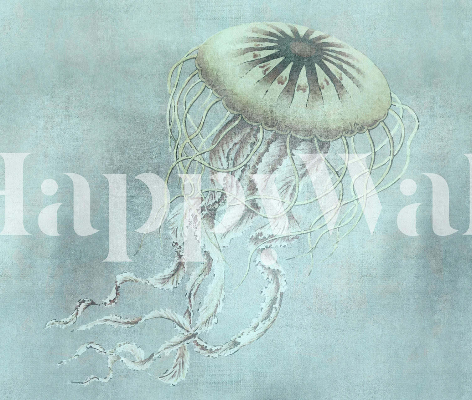 Turquoise Jellyfish behang getoond in een kamer