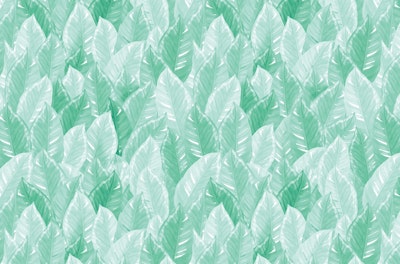 Mural