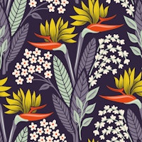 2301 - bird of paradise / strelitzia flowers wallpaper