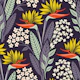 2301 - bird of paradise / strelitzia flowers
