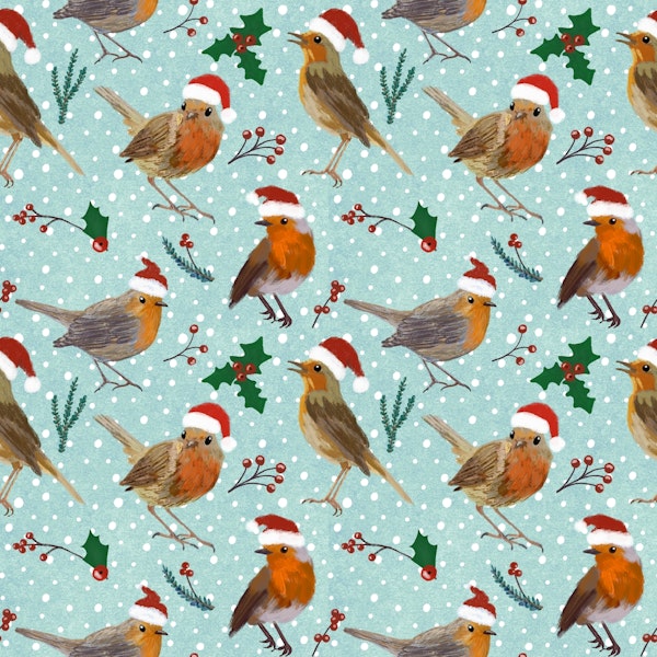 Robin Birds in Winter