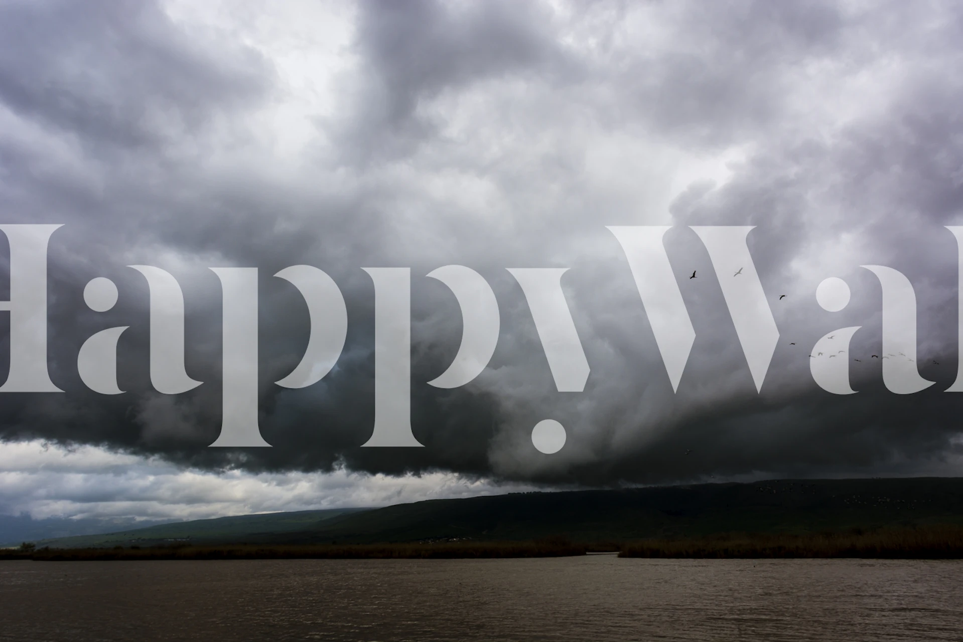 Nature-inspired wallpaper in a room