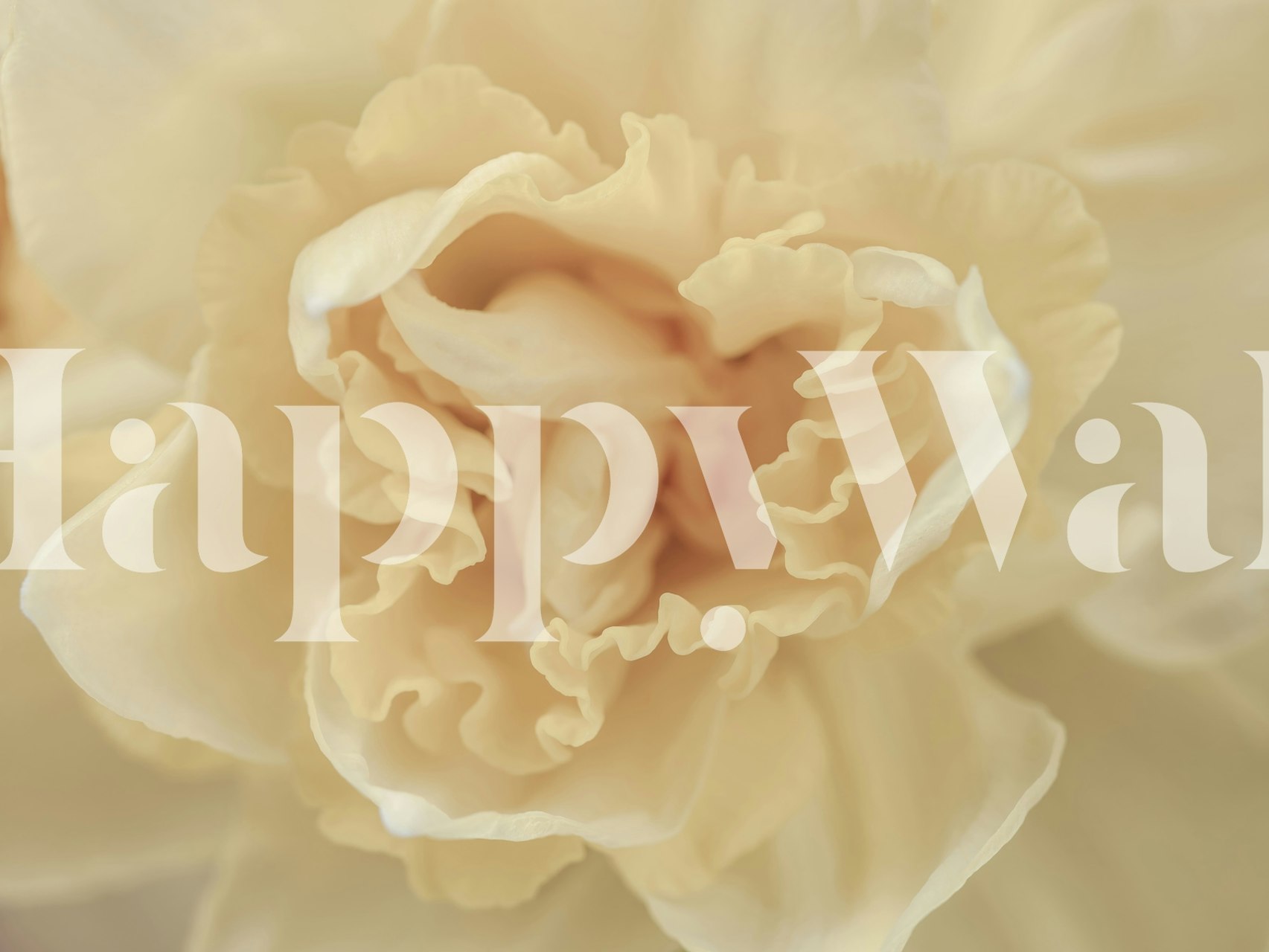 Close-up of creamy floral patterns on wallpaper