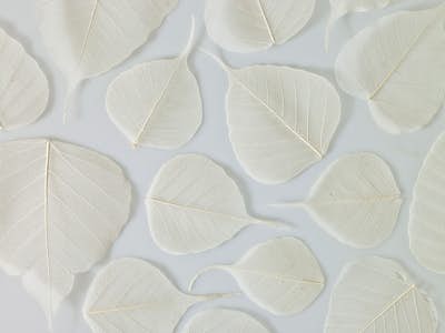 Τοιχογραφία