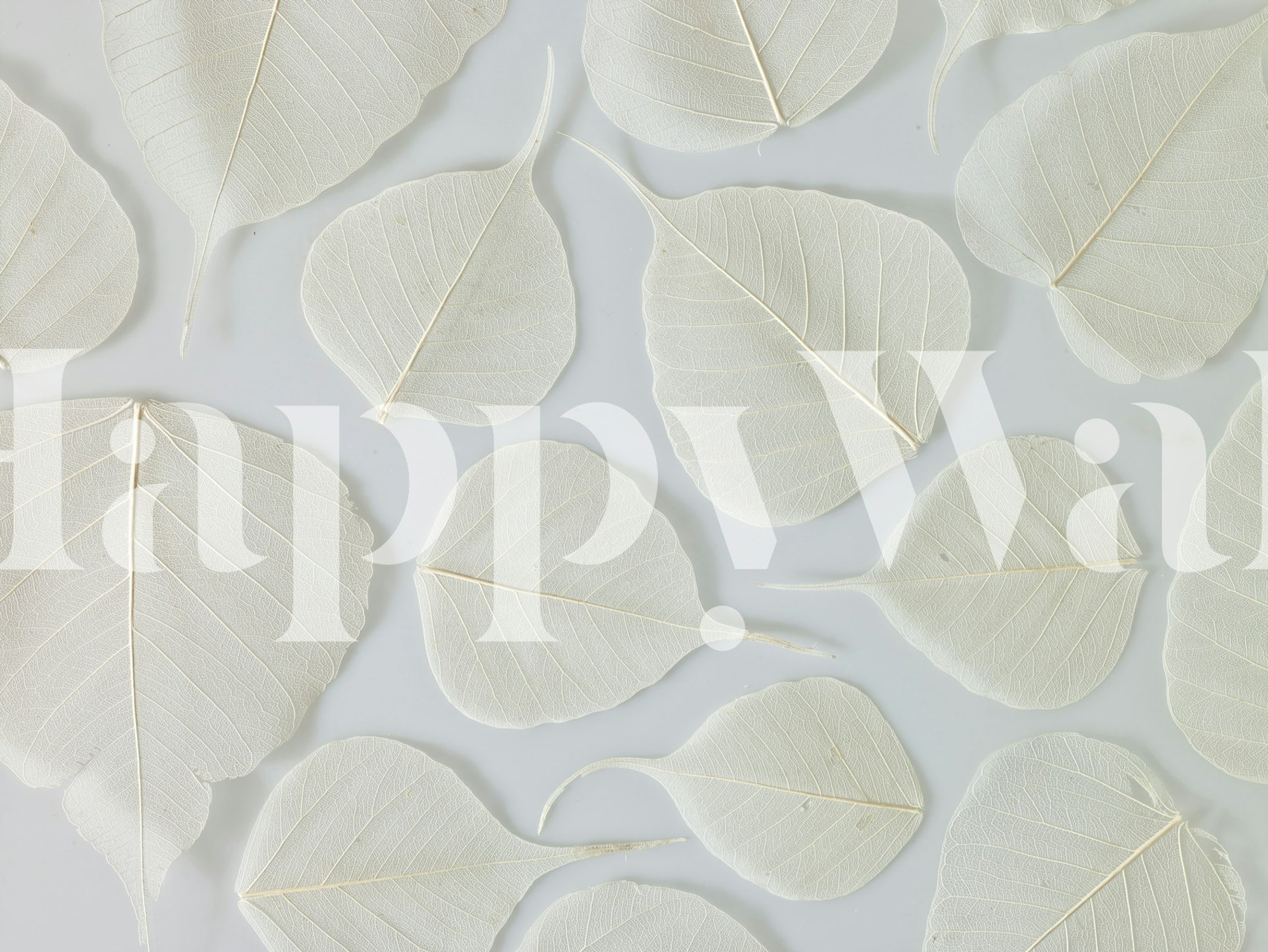 Fragile Elegance biała tapeta z liściem