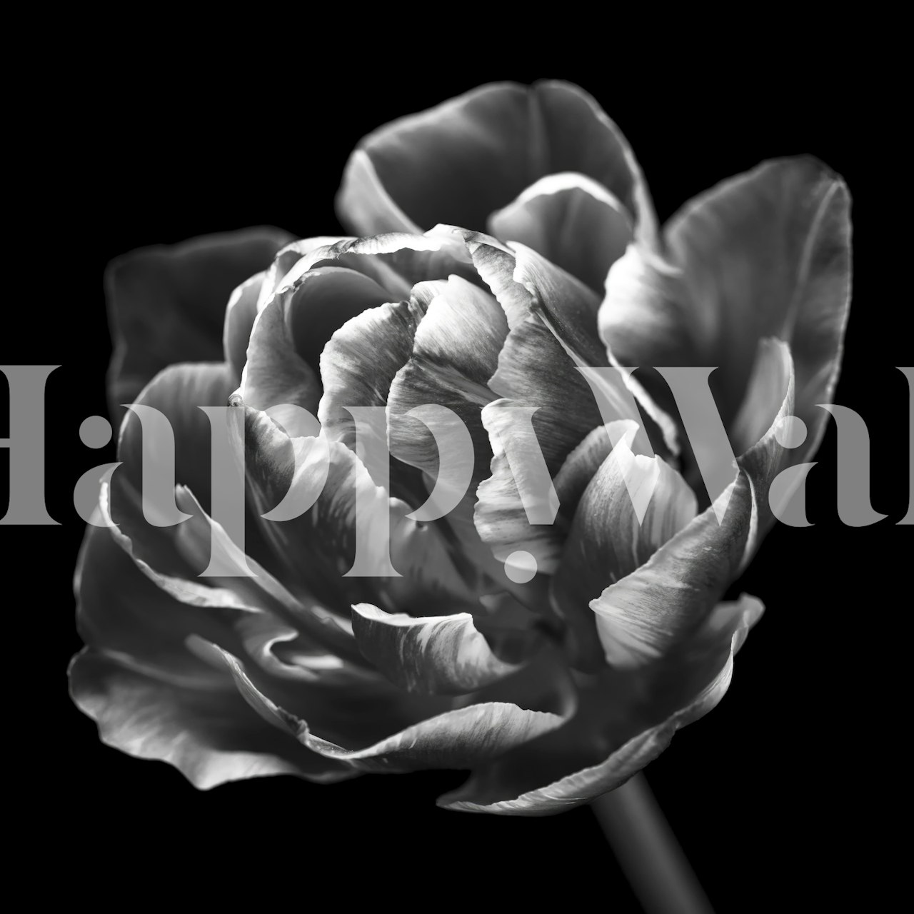 Black and white floral design wall mural wallpaper