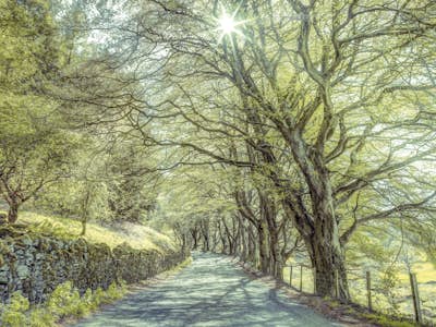 Τοιχογραφία