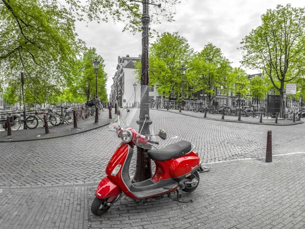 Amsterdam's Urban Charm