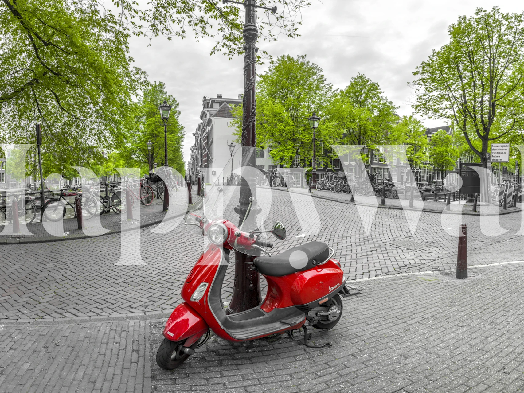 Red scooter on an Amsterdam street with trees and cobbled path in grayscale