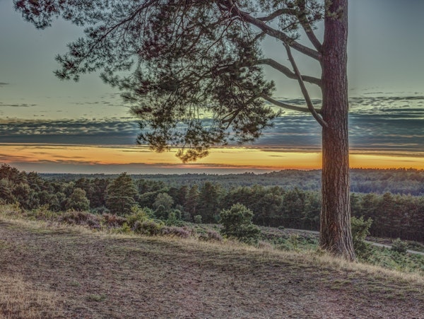 Picturesque Landscape