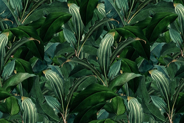Vintage Mystic Midnight Palm Leaves Jungle