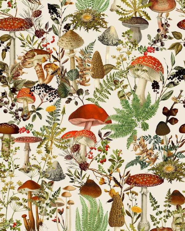 Vintage Mysterious Mushroom Forest