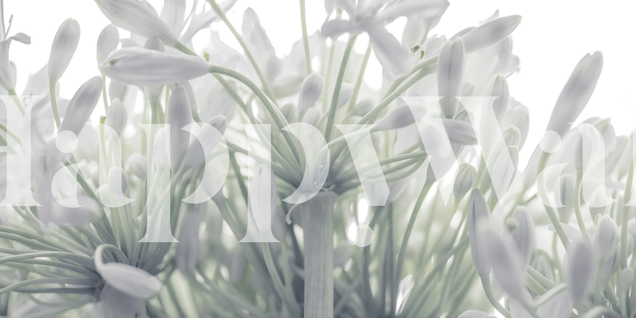 Papel pintado Exquisite Blooms en un ambiente de habitación