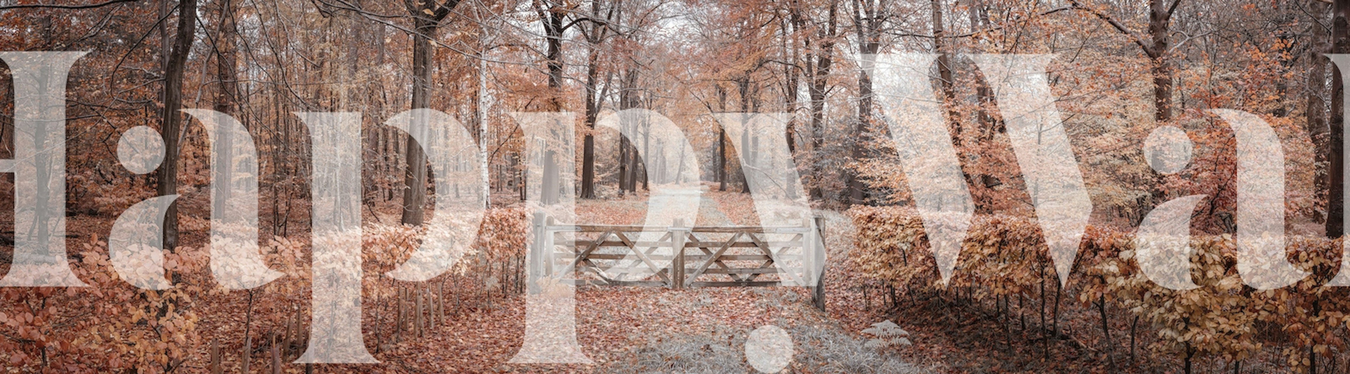 Herfstbosmuurschildering met een brug die dieper het bos in leidt, met prachtig herfstgebladerte.