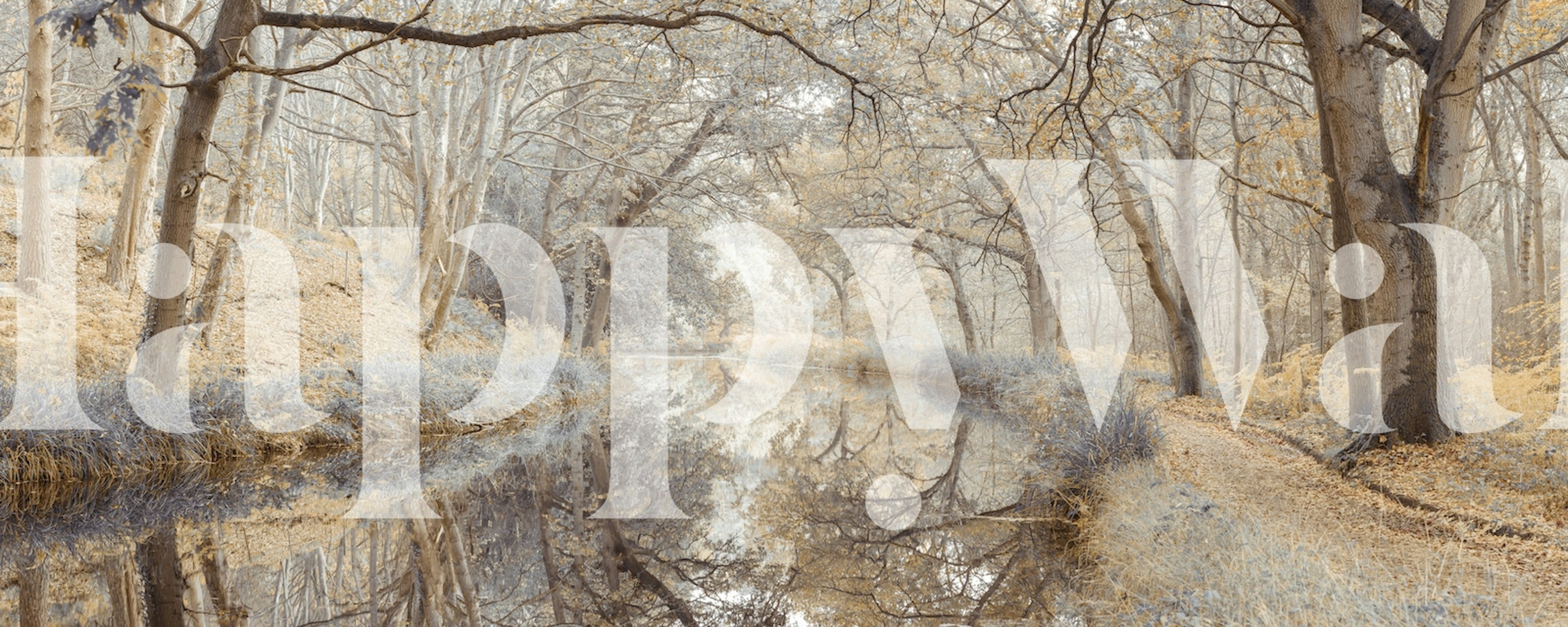 Papier peint mural de chemin forestier d'automne avec des feuilles d'automne et une douce lumière du soleil