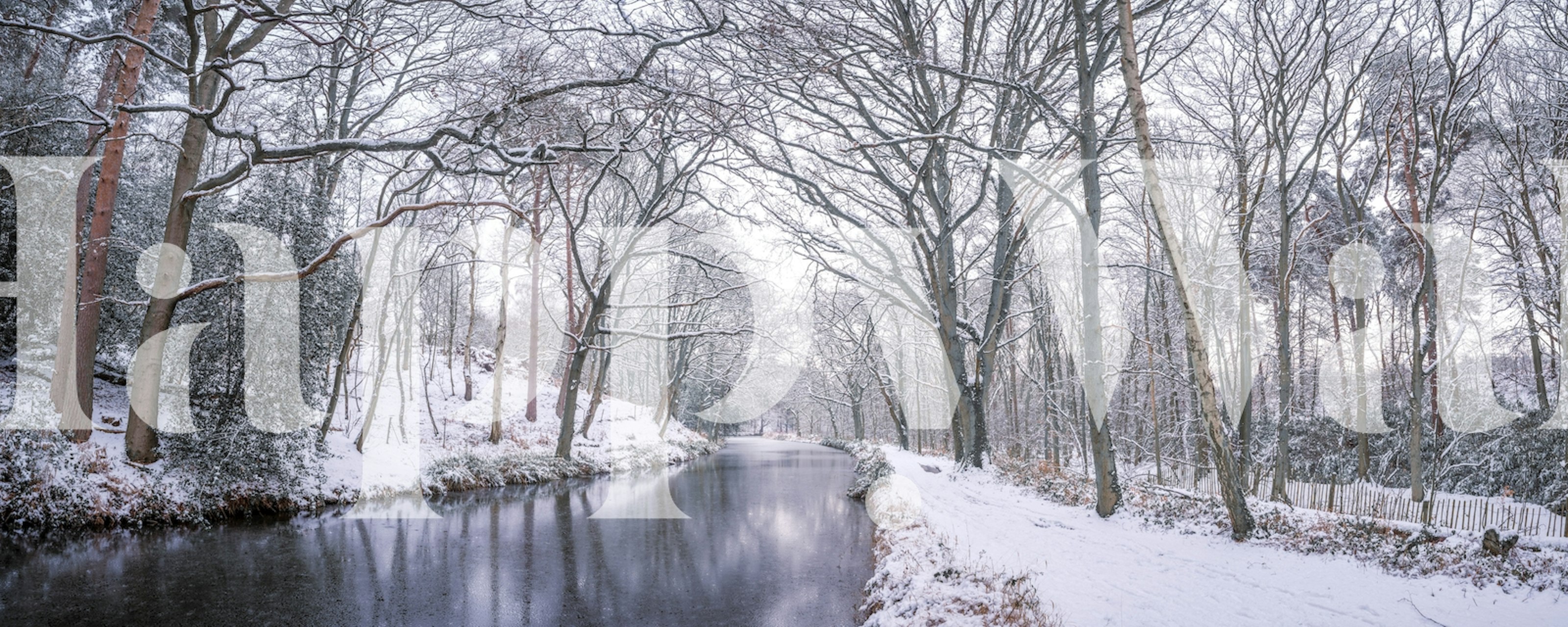 Winter canal scene wall mural with snow-covered trees and peaceful water reflecting the tranquil landscape
