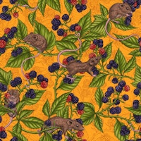 Mice and blackberries on yellow papiers peint