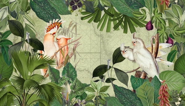 Vintage Cockatoo Island Old Map