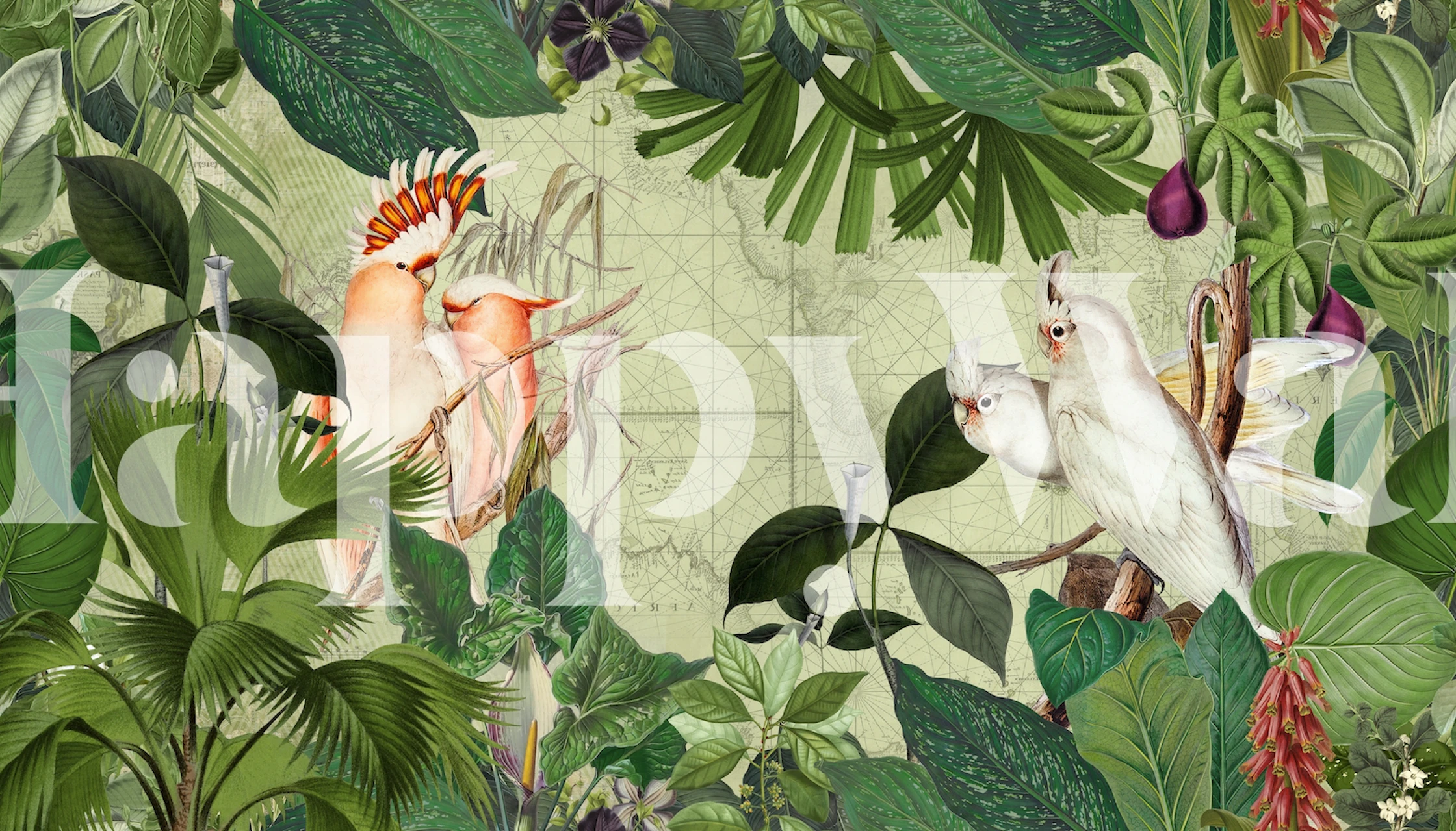 Cockatoo bird and lush greenery wallpaper