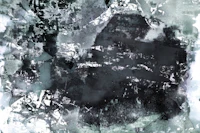 Japanese Ink papel de parede