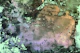Japanese Ink Gemstone