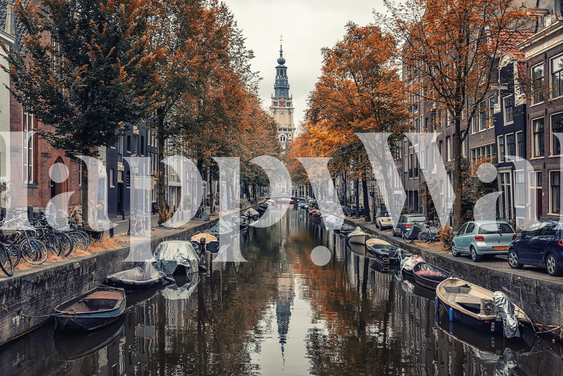 Canals of Amsterdam in autumn with orange leaves and historic buildings