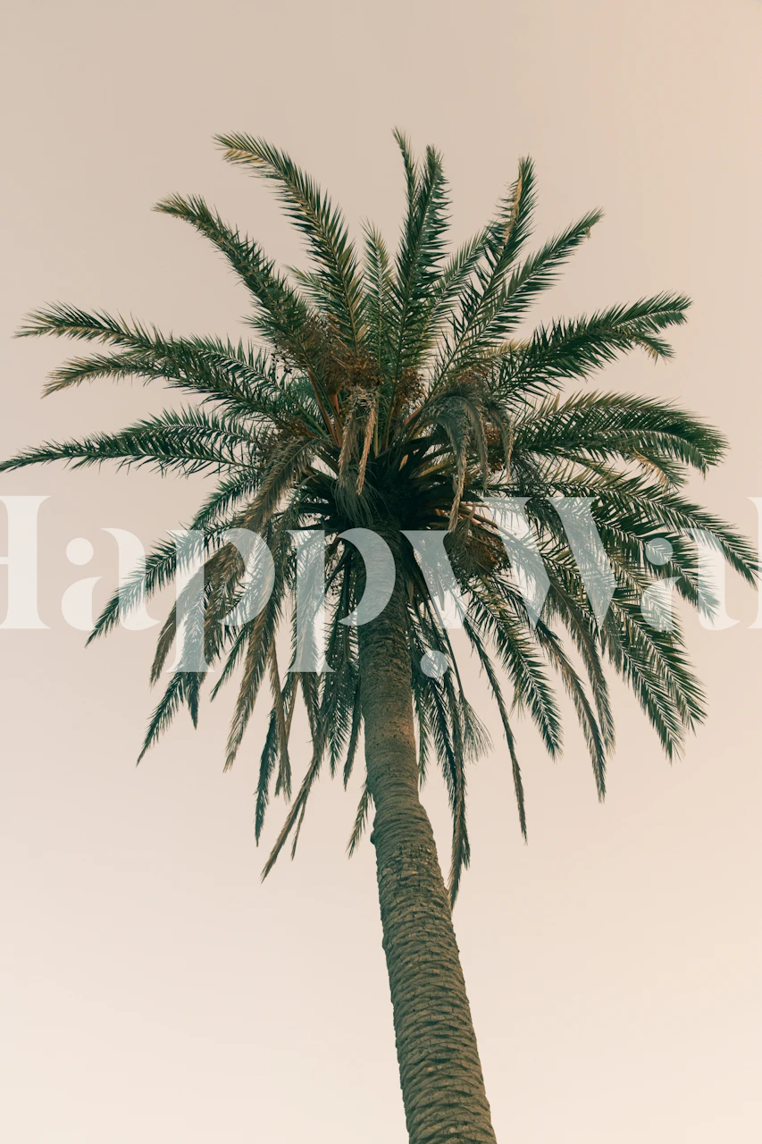 Tapeta Palm Tree Beach Dream u sobi