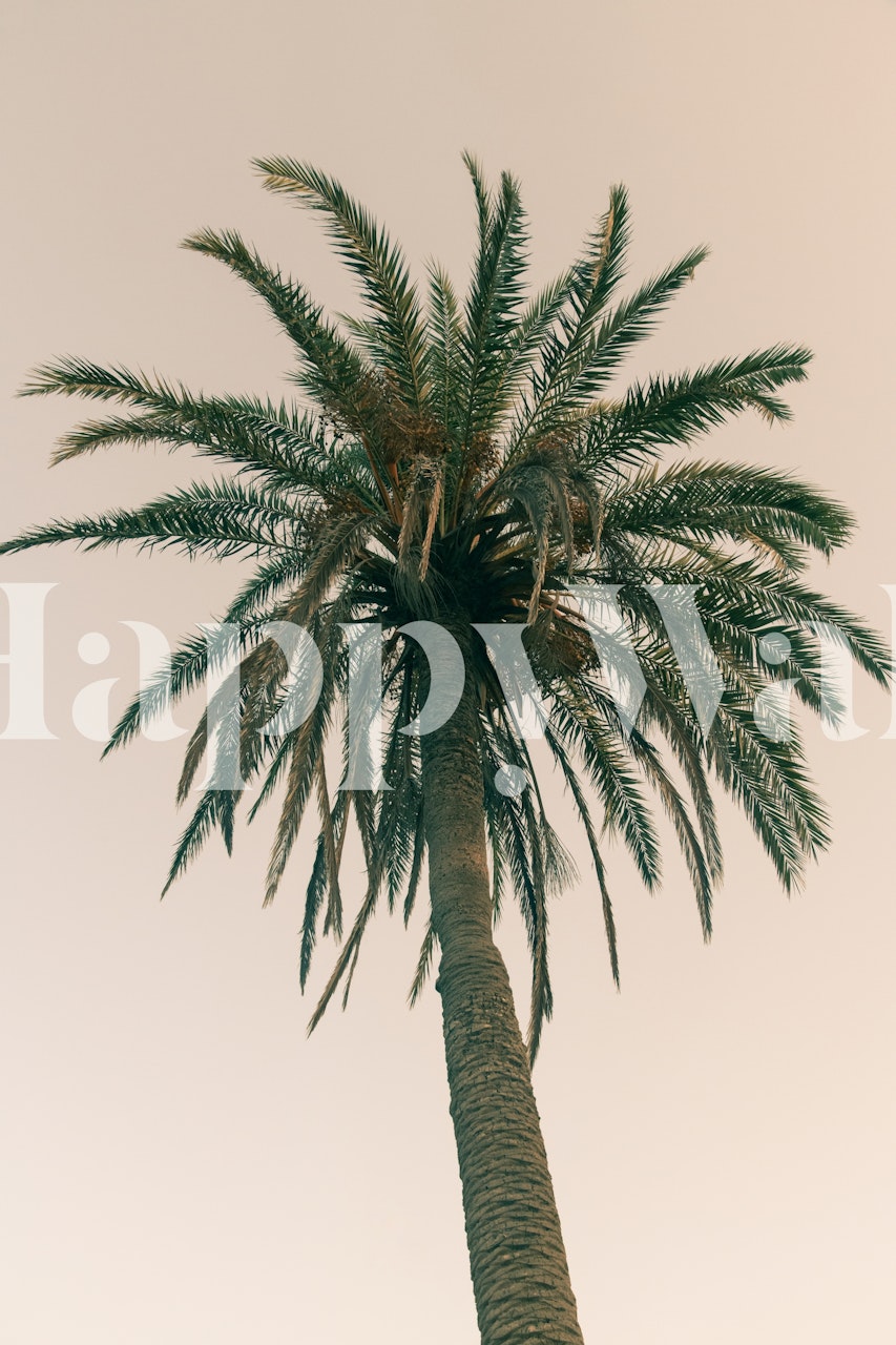 Tapeta Palm Tree Beach Dream w pokoju