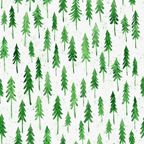 Pine Trees in Watercolor 1