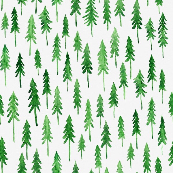 Pine Trees in Watercolor 2