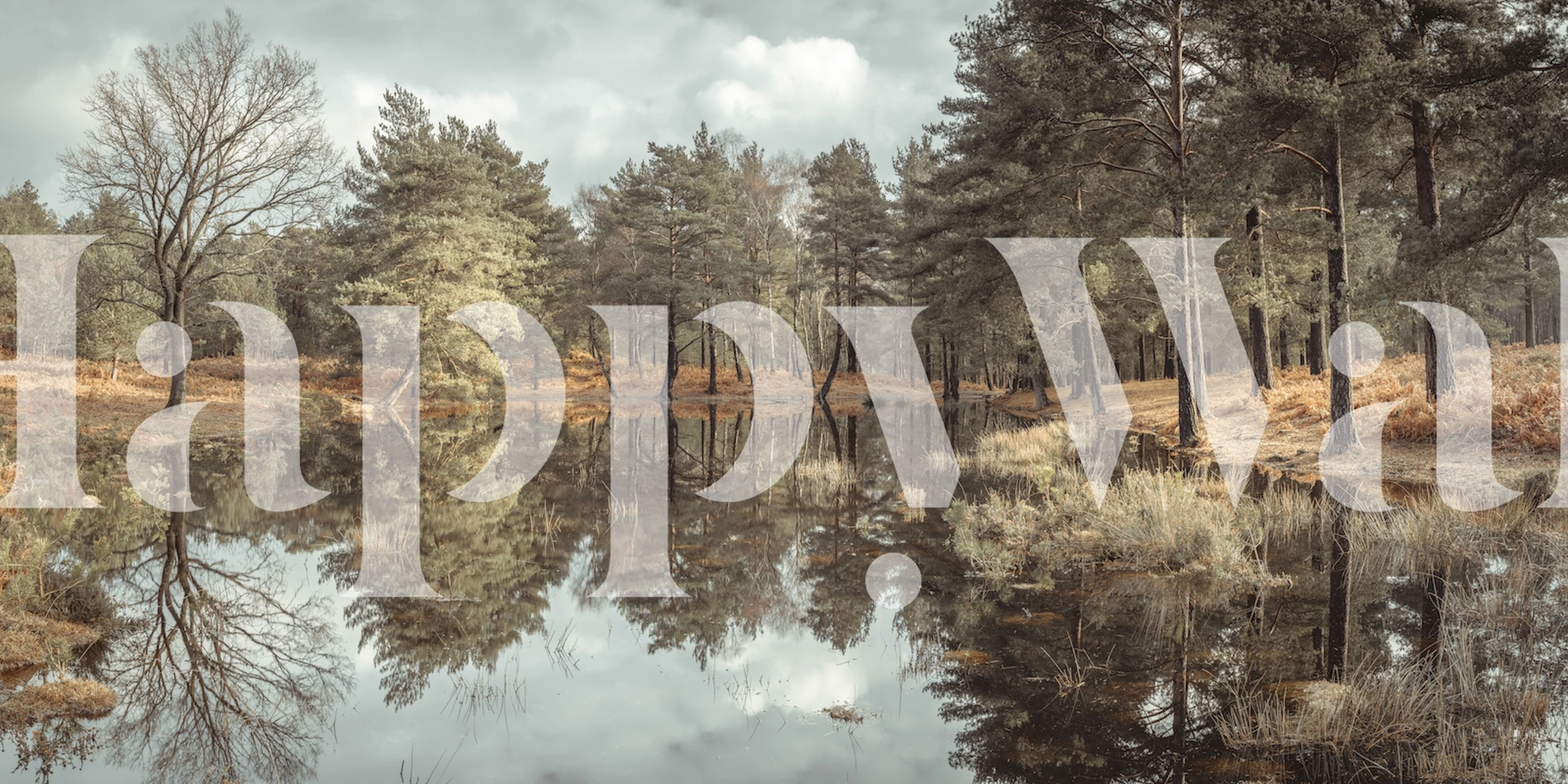 Tapetentwurf von Trees by a lake
