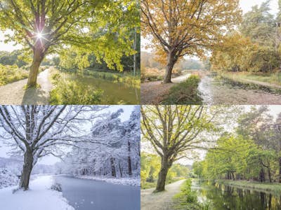 Τοιχογραφία