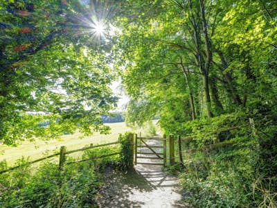 Τοιχογραφία