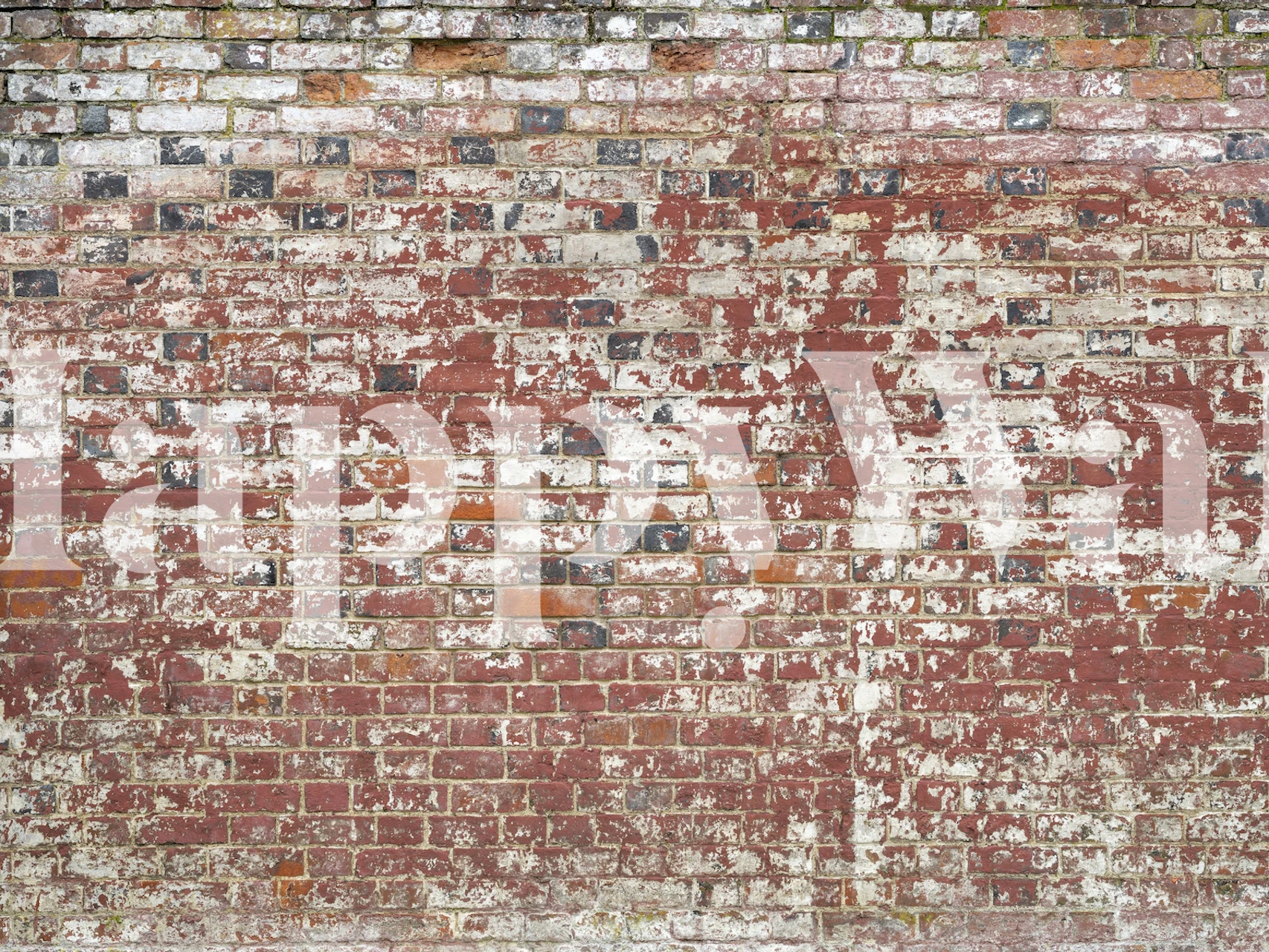 Design de papier peint Aged Wall