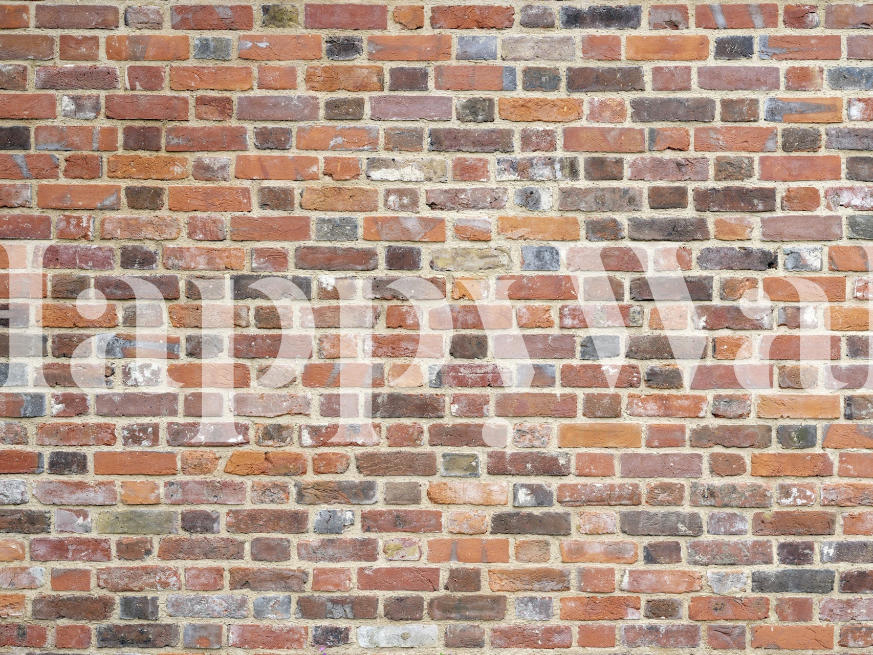 Rustic Brick Wall tapet i et rom