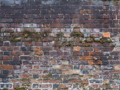 Mural