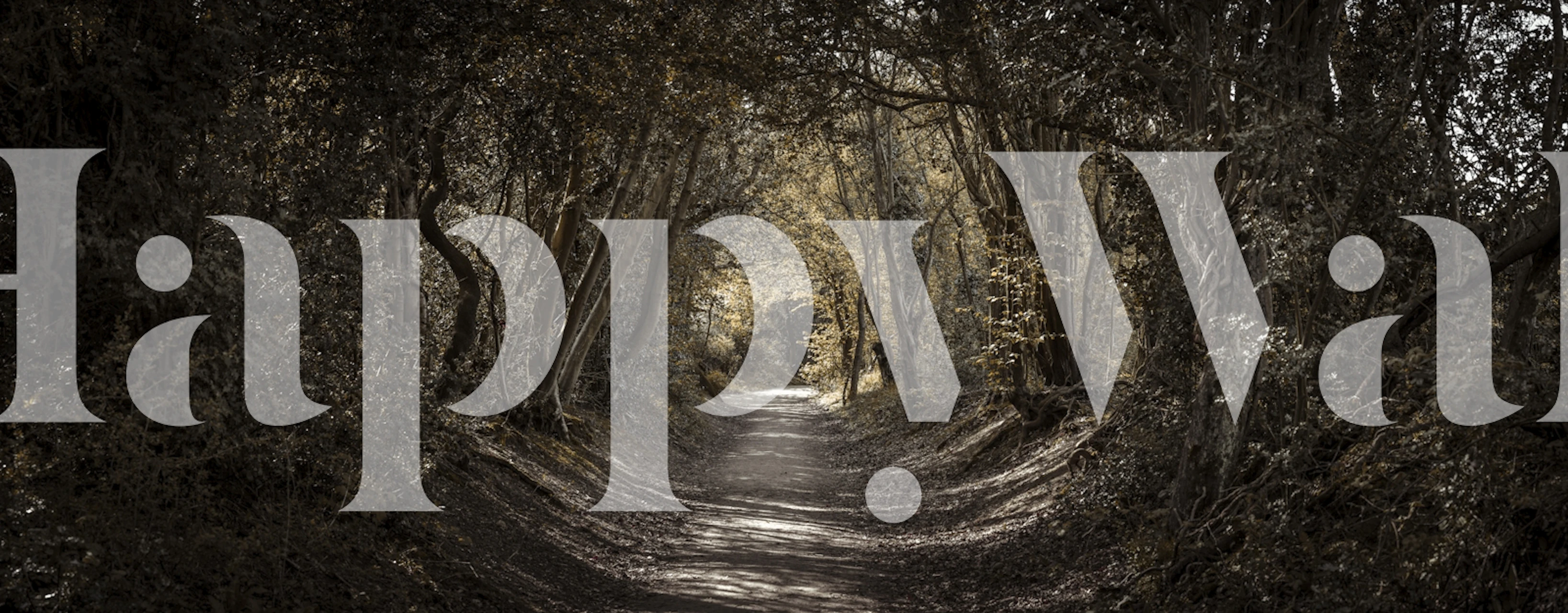 Um fotomural vinílico de parede tranquilo e sombreado de uma estrada florestal com luz salpicada filtrada pelas árvores