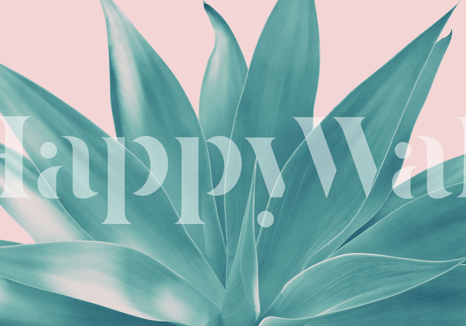 blush-agave-finesse-1-tapet-fototapet-happywall