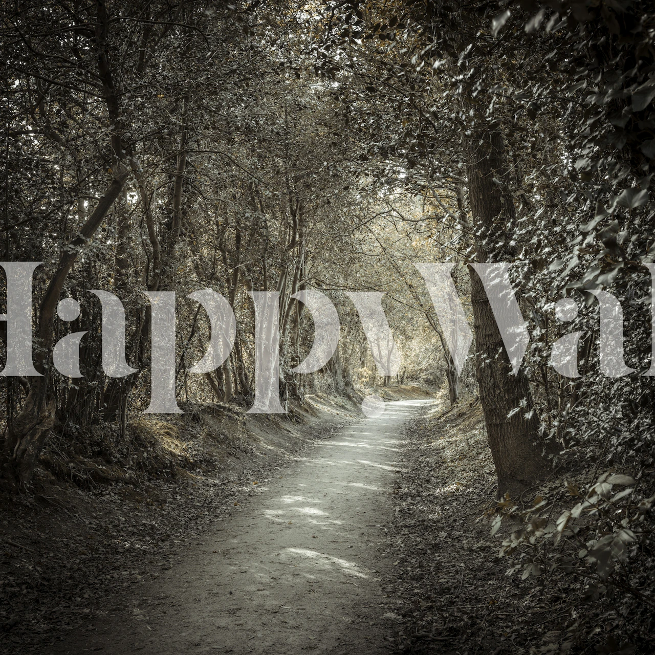 Design de papel de parede pacífico