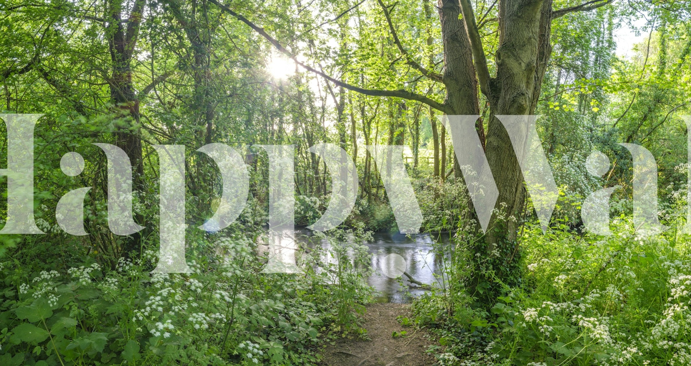 Zidna slika Spring Woodland sa šumskim jezercem i sunčevom svjetlošću