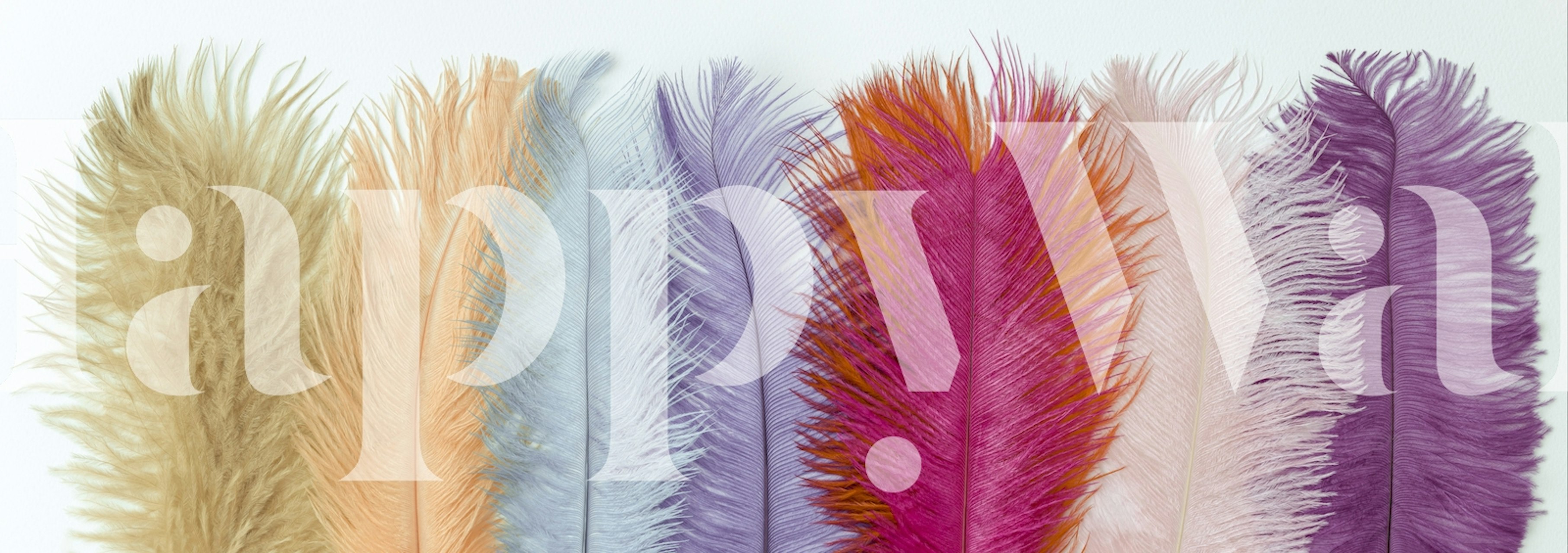 Pastel feather tapet i ett rum