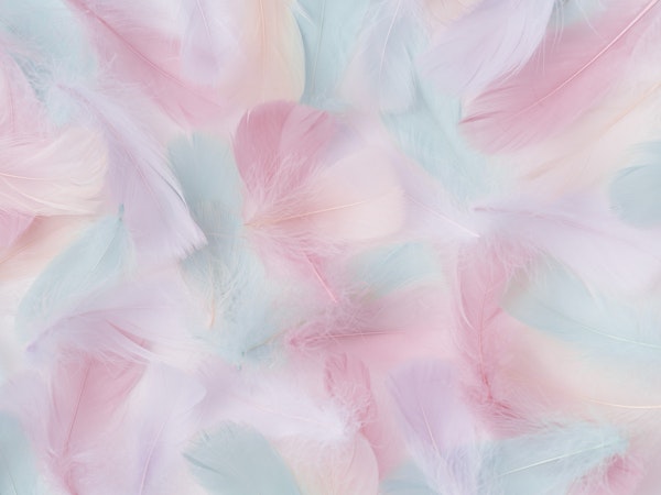 Gentle Plumes - Pastel